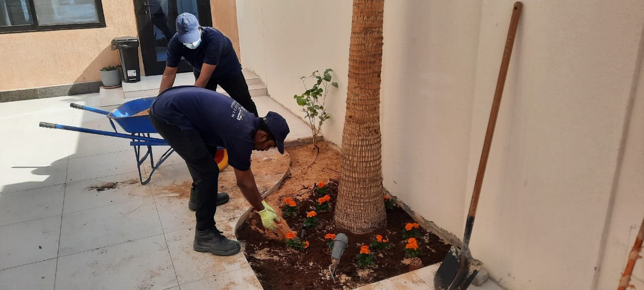 صيانة الحدائق وتأسيس أنظمة الري ورش مبيدات