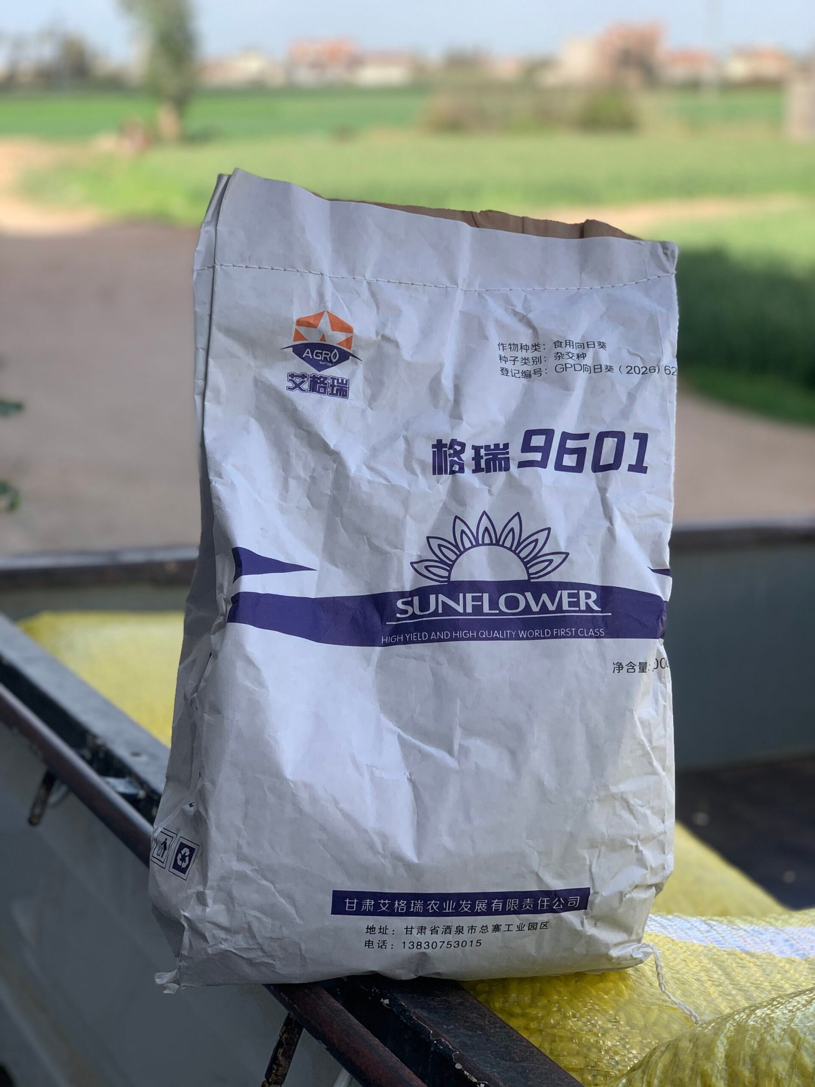 لب عباد الشمس تقاوي