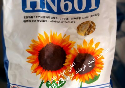 copy_D9724C55-0B4A-4C86-BD7D-422EA89BE9E4